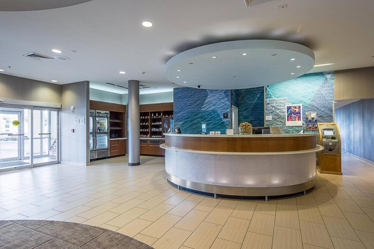 Springhill Suites Tampa North/Tampa Palms Εξωτερικό φωτογραφία