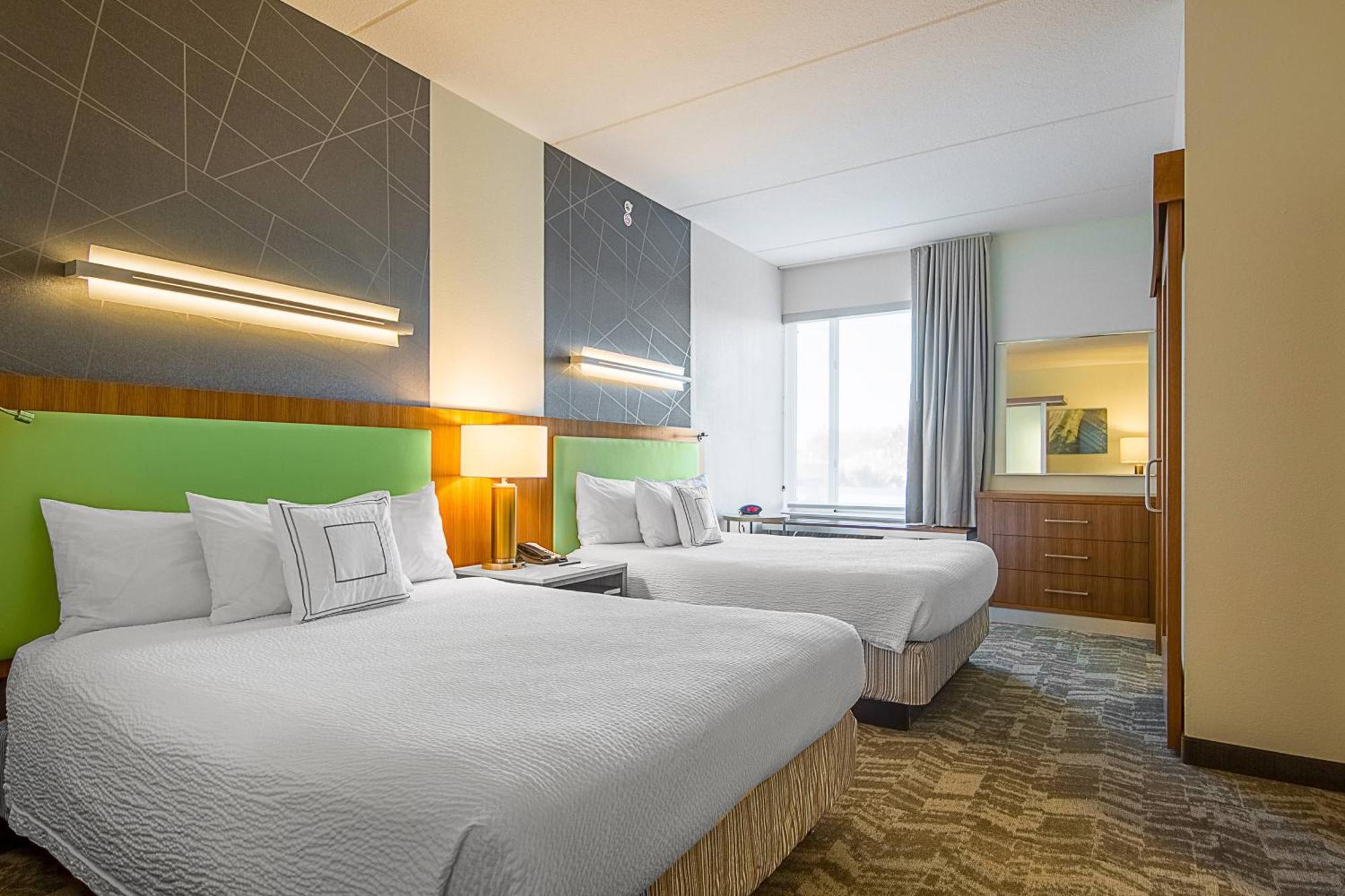 Springhill Suites Tampa North/Tampa Palms Εξωτερικό φωτογραφία