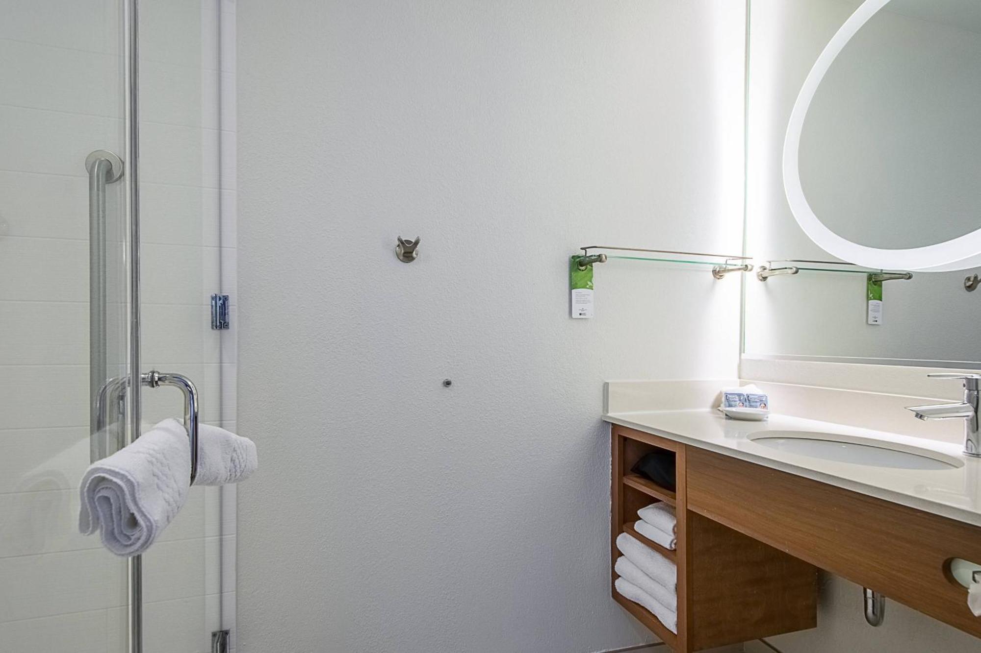 Springhill Suites Tampa North/Tampa Palms Εξωτερικό φωτογραφία