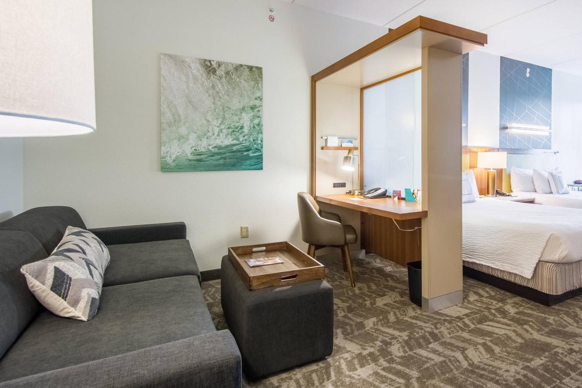 Springhill Suites Tampa North/Tampa Palms Εξωτερικό φωτογραφία
