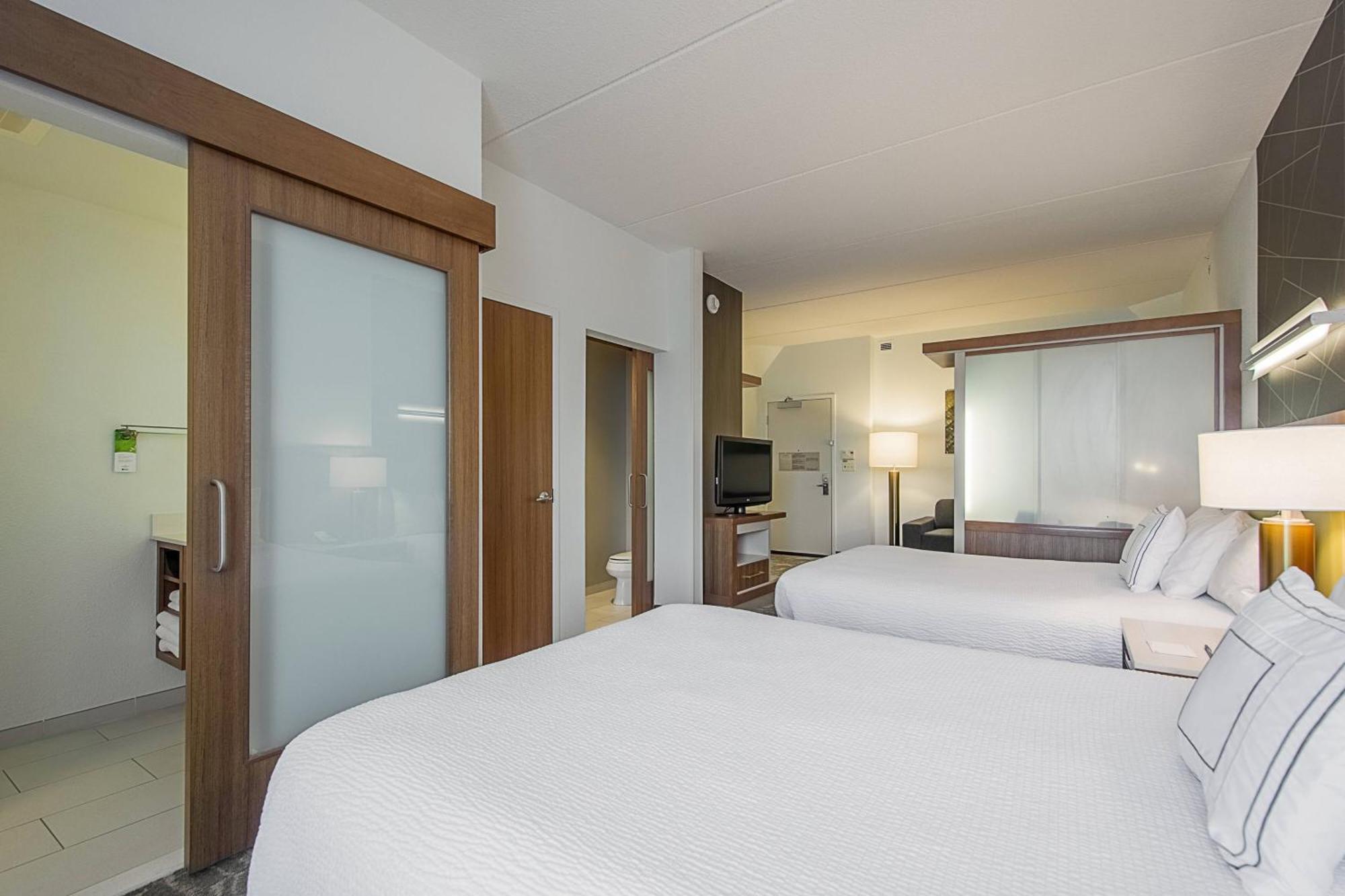 Springhill Suites Tampa North/Tampa Palms Εξωτερικό φωτογραφία