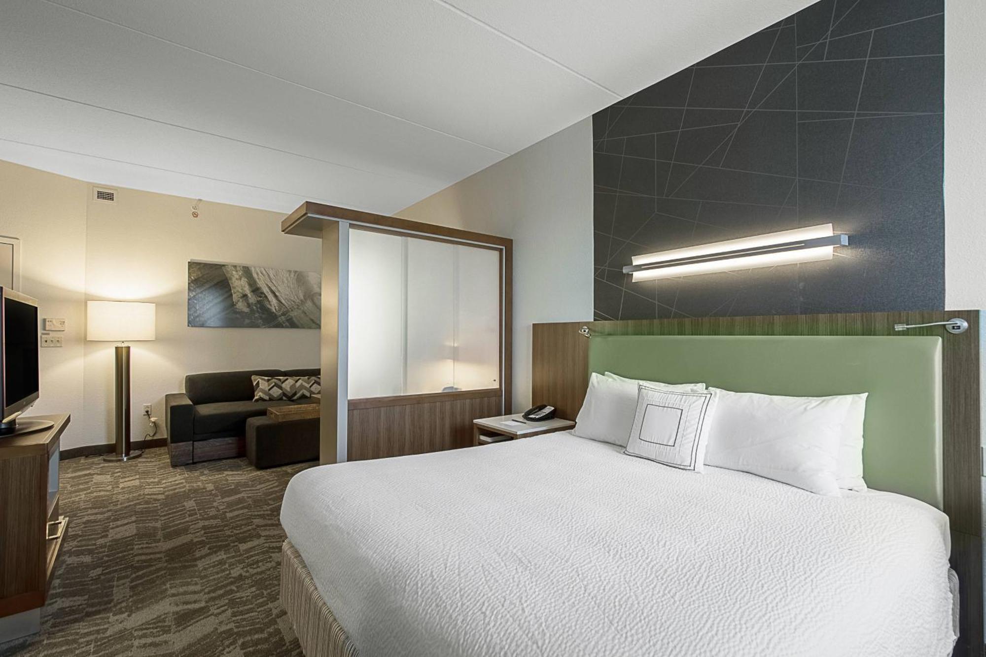 Springhill Suites Tampa North/Tampa Palms Εξωτερικό φωτογραφία