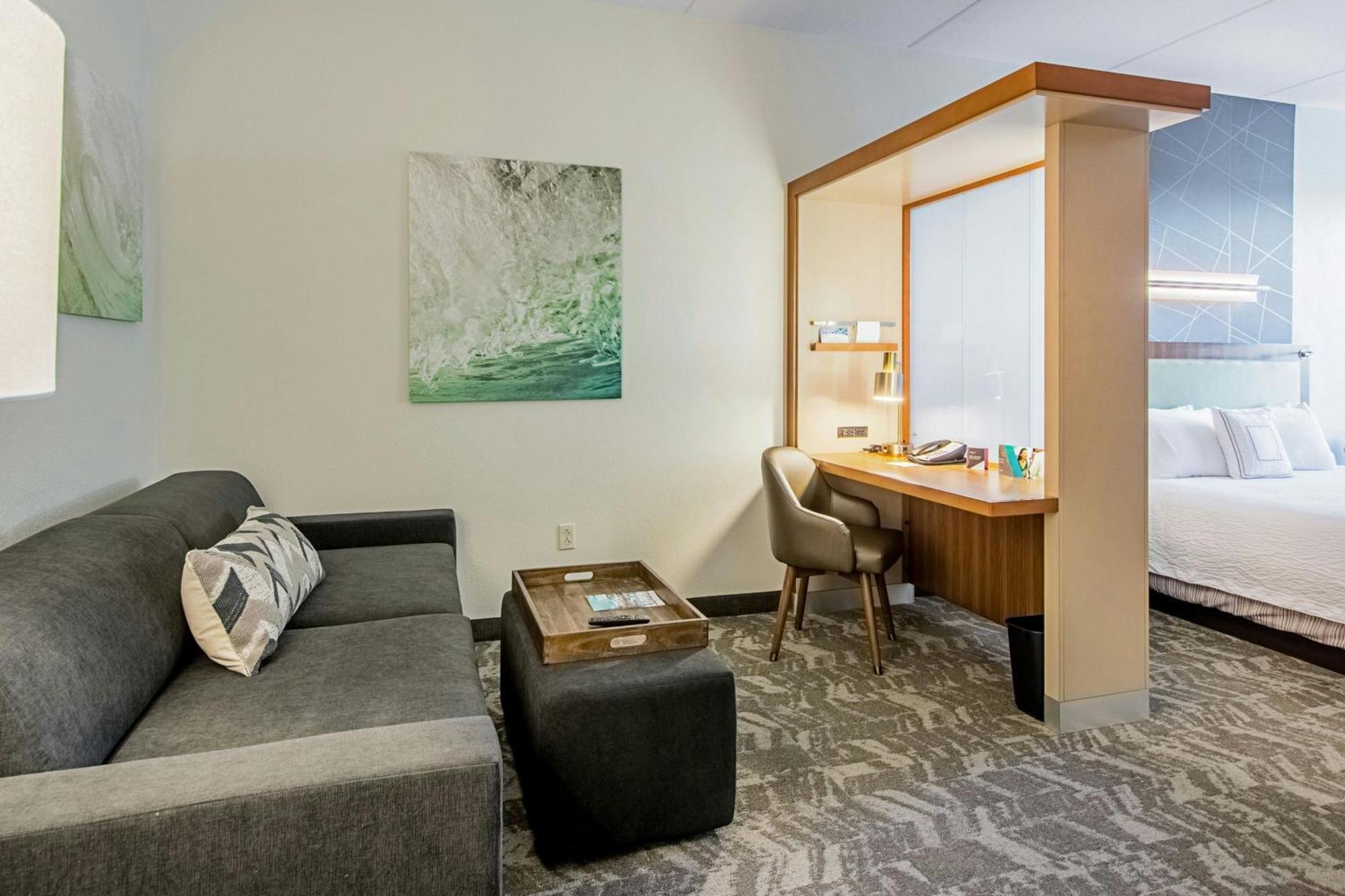 Springhill Suites Tampa North/Tampa Palms Εξωτερικό φωτογραφία