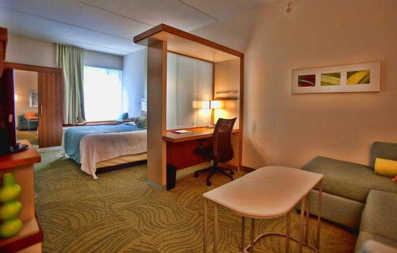 Springhill Suites Tampa North/Tampa Palms Εξωτερικό φωτογραφία