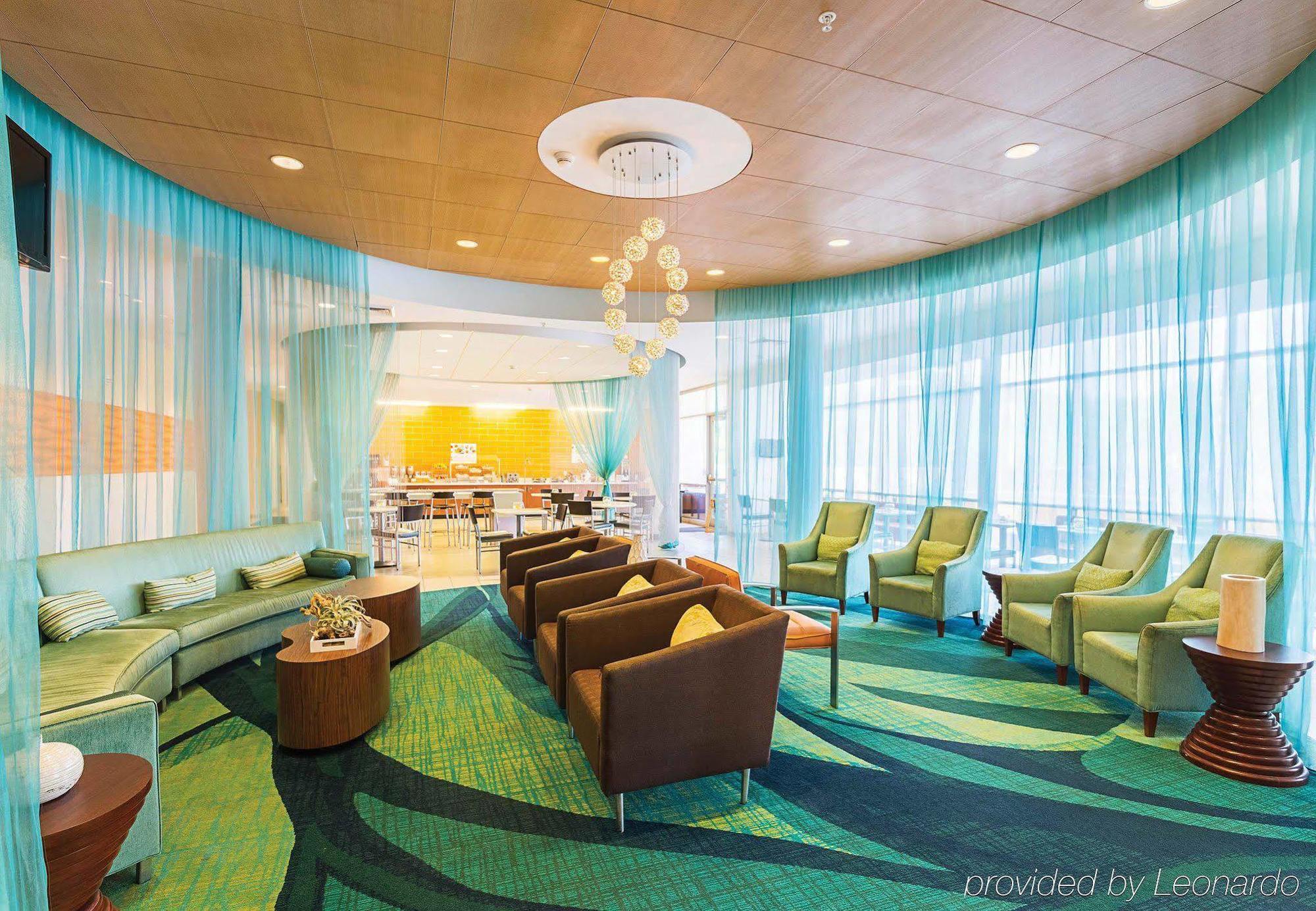Springhill Suites Tampa North/Tampa Palms Εξωτερικό φωτογραφία