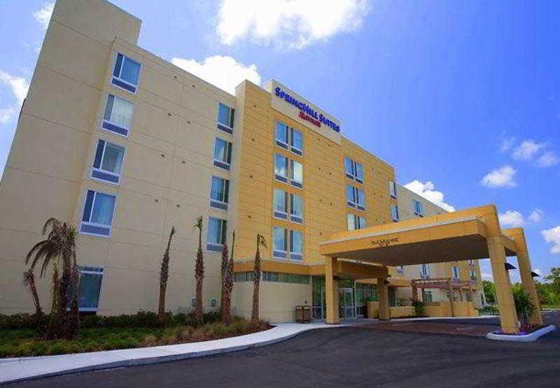Springhill Suites Tampa North/Tampa Palms Εξωτερικό φωτογραφία