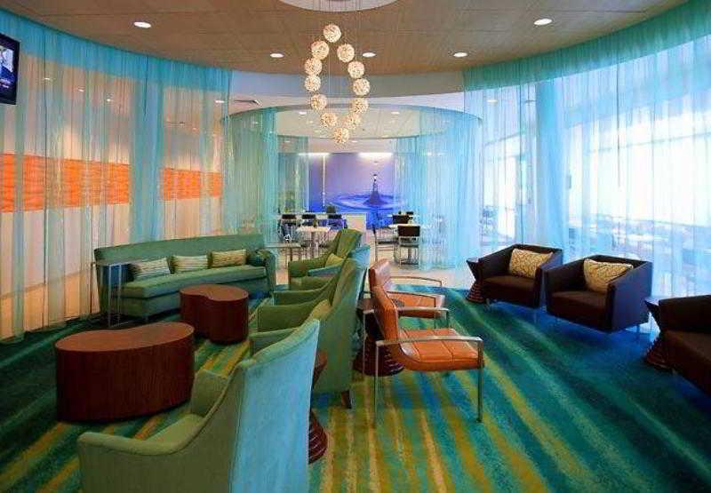 Springhill Suites Tampa North/Tampa Palms Εσωτερικό φωτογραφία